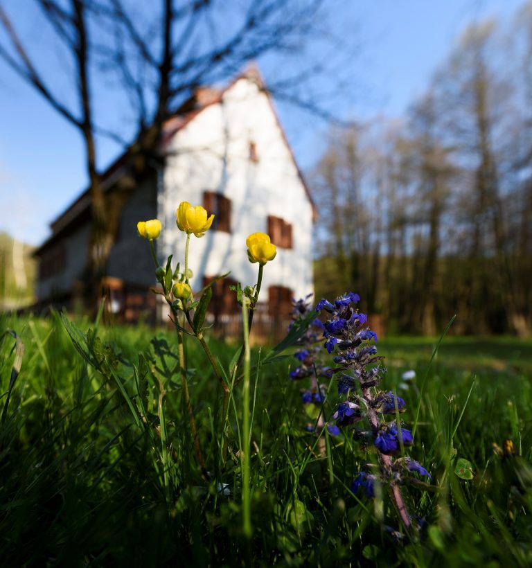 Május elsején nyitnak a malmok