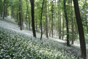 A csend mindig a jelenbe vezet